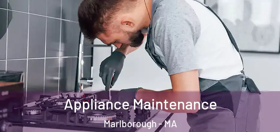  Appliance Maintenance Marlborough - MA