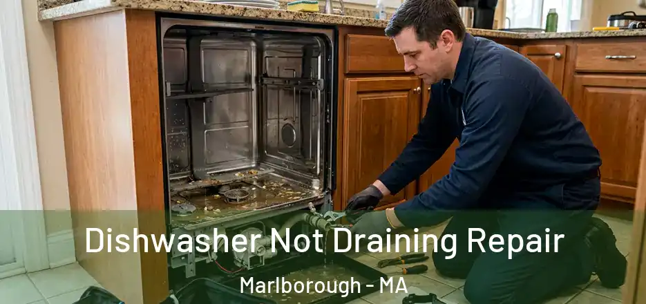 Dishwasher Not Draining Repair Marlborough - MA